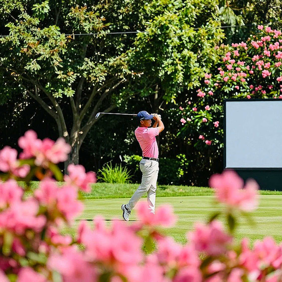 Adam Scott: Người già nhất, nhưng mơ về danh hiệu lớn nhất tại Tour Championship 2026