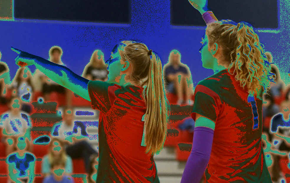 The Empty File in a Tokyo Newsroom: When Volleyball Gets Audited With Zero Data The Empty File in a Tokyo Newsroom: When Volleyball Gets Audited With Zero Data