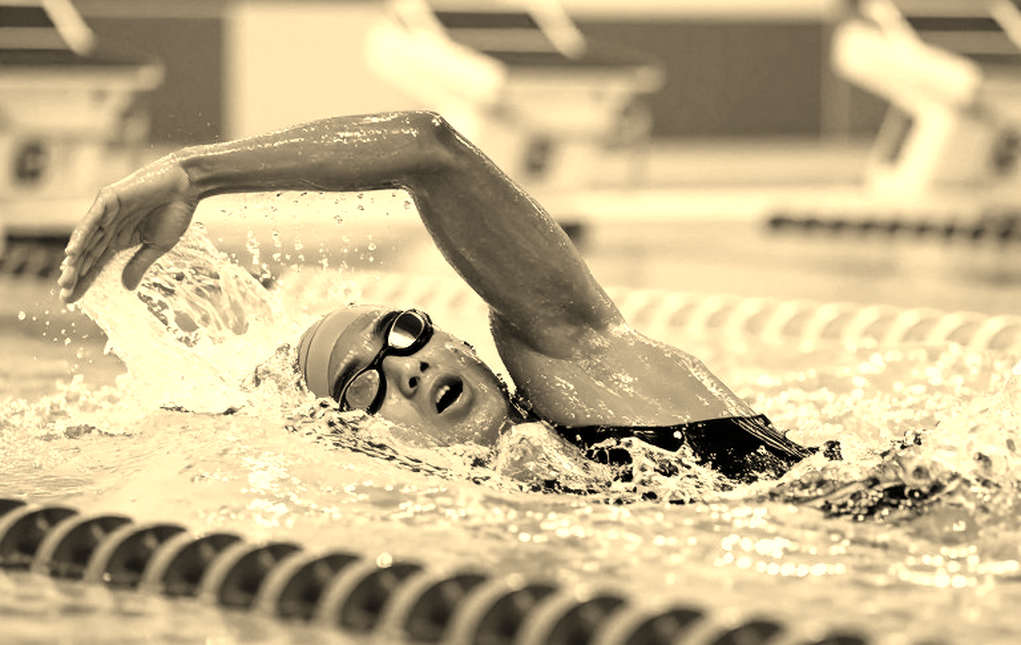Stroke Rhythm Beneath the Blue Lane: When Swimming Relearns Itself from the Track Stroke Rhythm Beneath the Blue Lane: When Swimming Relearns Itself from the Track