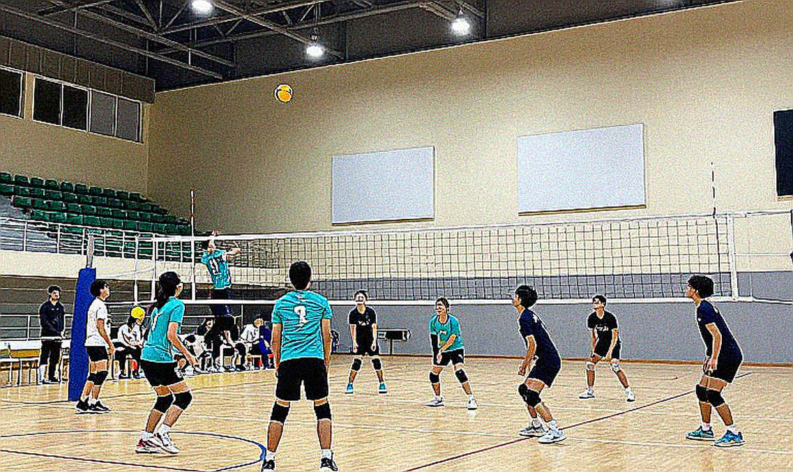 Bóng chuyền nữ Việt Nam và chu kỳ 2026: Phân tích toàn diện chiến thuật, dữ liệu và lộ trình hướng tới SEA Games