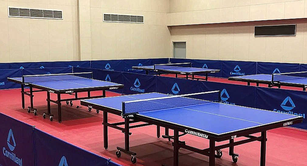 Bóng bàn hiện đại: khi đường ống dữ liệu trở thành mặt vợt thứ hai